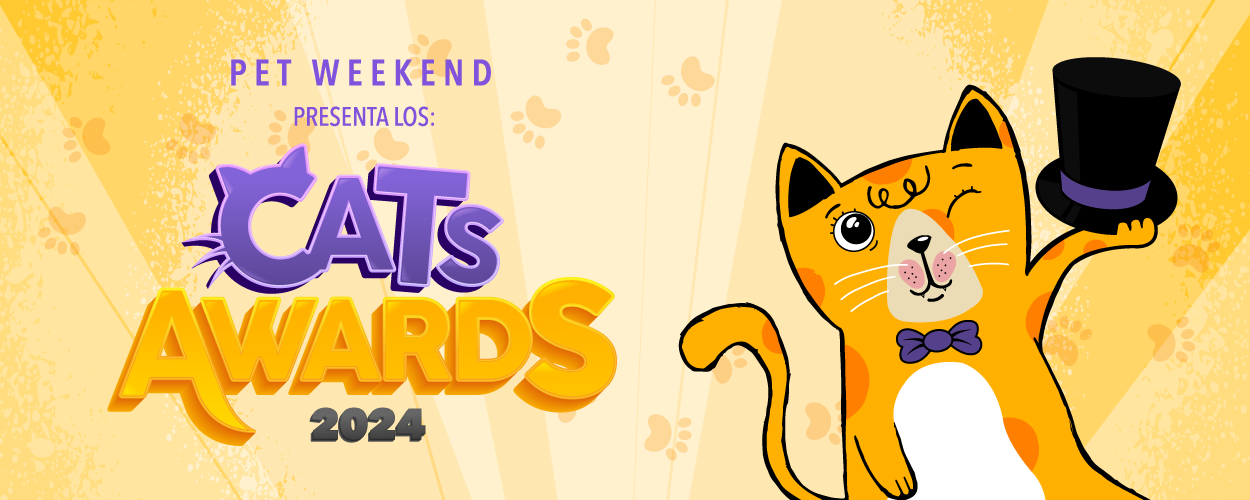 BANNER_CATAWARDS