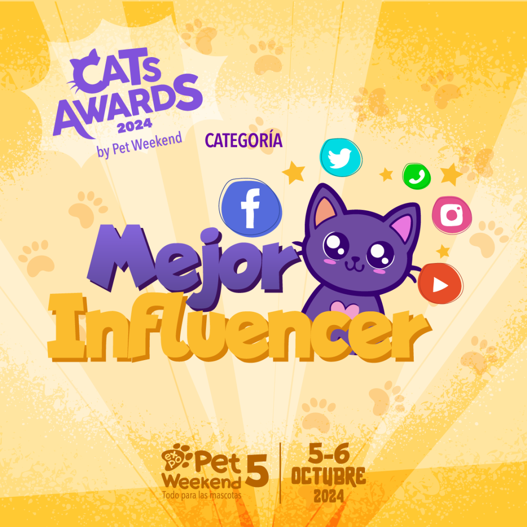 POST_MEJOR_INFLUENCER